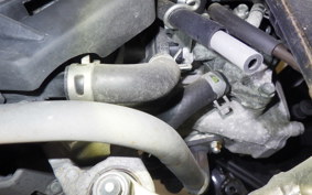 HONDA BENLY 50 2024 AA05