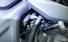 YAMAHA YZF-R25 2007 RG10J