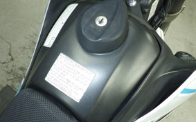 YAMAHA WR250X 2024