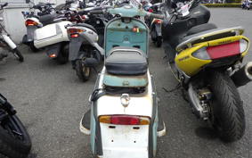 OTHER +RABBIT125 S301