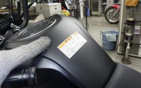KAWASAKI Z125 PRO 2023 BR125H