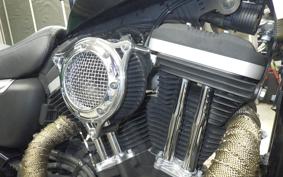 HARLEY XL883N 2010