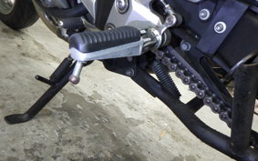 YAMAHA FZ1 FAZER 2011 RN21J