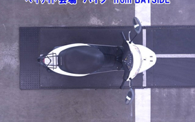 HONDA DIO