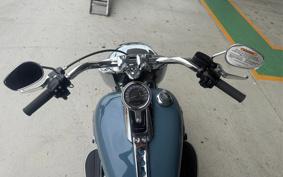 HARLEY FLFBS 2025 YGK