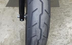 HARLEY XL1200NS 2019