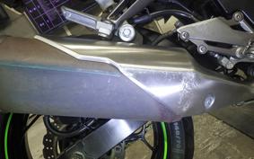 KAWASAKI NINJA 250 EX250L