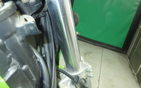 KAWASAKI SUPER SHERPA 2026 KL250G