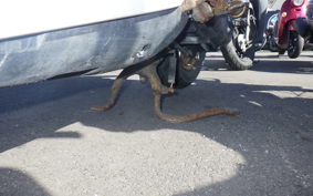 HONDA DIO Gen.5 AF56