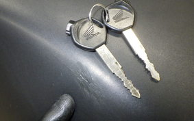 HONDA ﾀﾞﾝｸ 2007 AF74