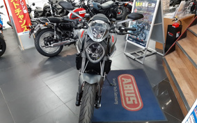 DUCATI  DUCATI 937 MONSTAR + 2024 4M00