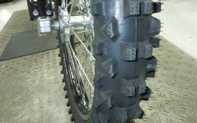 TRIUMPH TF250-X