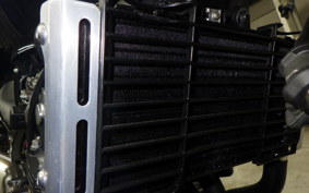 HONDA HORNET 250 MC31