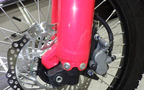 HONDA CRF250L 2019 MD47