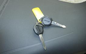 DUCATI MONSTER 937 + 2024