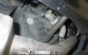 YAMAHA MAXAM 250 SG21J