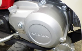 HONDA C110 SUPER CUB JA59