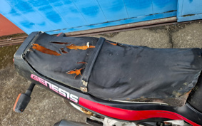 YAMAHA FZR1000 1988 0051