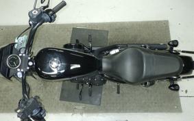 HARLEY XL1200NS 2019