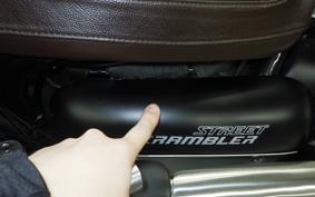 TRIUMPH STREET SCRAMBLER 2019