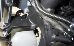 HONDA CBR400R 2022 NC56