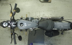 OTHER THUNDER 250 2025