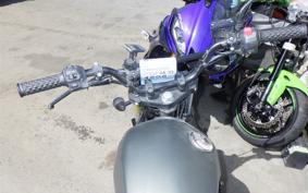 OTHER +ﾏｯﾄﾓｰﾀｰｻｲｸﾙ250