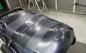 HONDA ZOOMER 2019 AF58