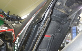 YAMAHA WR250X 2022 DG15J
