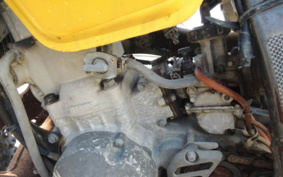 SUZUKI RMX250