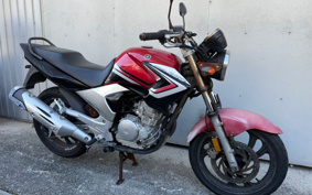 YAMAHA YBR250 PCNL