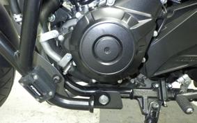 SUZUKI V-STROM 250 A