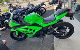 KAWASAKI NINJA 250 EX250L