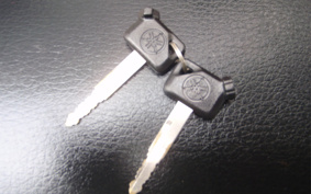 YAMAHA VOX Deluxe SA31J