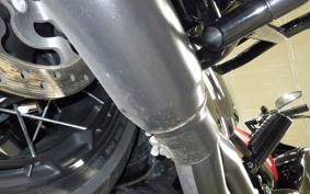 HARLEY FLTRXSE1920CVO 2021