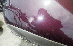 YAMAHA VIRAGO 250 3DM