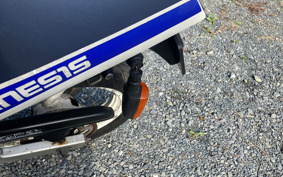 YAMAHA FZR250 2KR