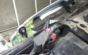 KAWASAKI ZRX1100 1997 ZRT10C