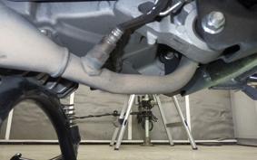 YAMAHA CYGNUSｸﾞﾘﾌｧｽ 2019 SEJ4J