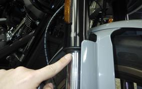 HARLEY FXLRST1920 2025