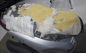 YAMAHA AXIS 125 TREET 2019 SE53J