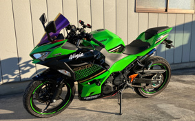 KAWASAKI NINJA 250 EX250P