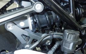 KAWASAKI Z900RS 2024 ZR900K
