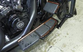 HARLEY FLTRX1920 2024