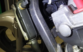 HONDA HORNET 250 2010 MC31