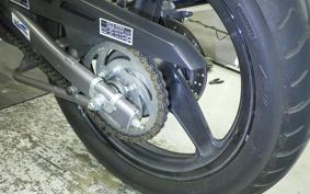 KAWASAKI NINJA150RR 2019