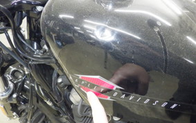 HARLEY XL1200X 2022
