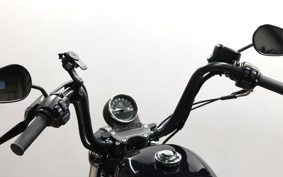 HARLEY XL1200NS 2021 LP3