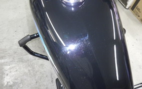 HARLEY XL1200NS 2019