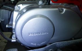 HONDA MONKEY 2026 Z50M